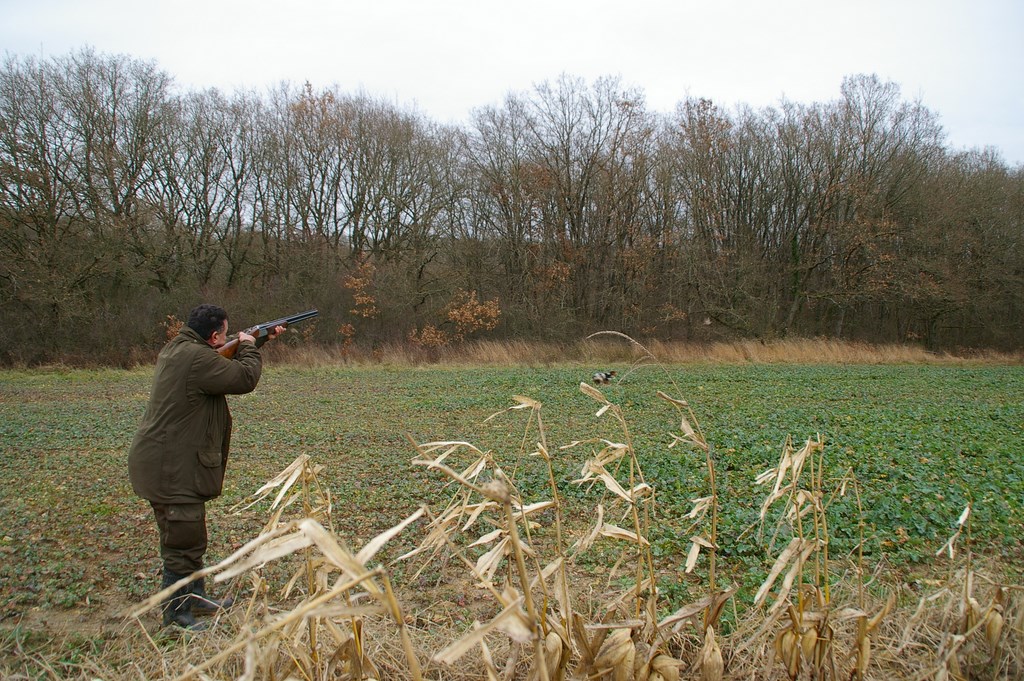 La chasse devant soi