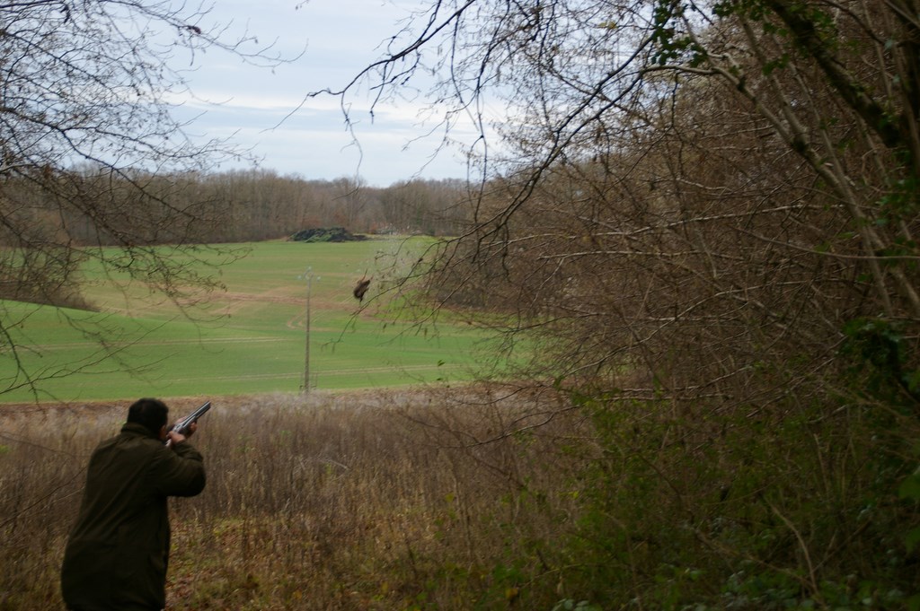 La chasse devant soi