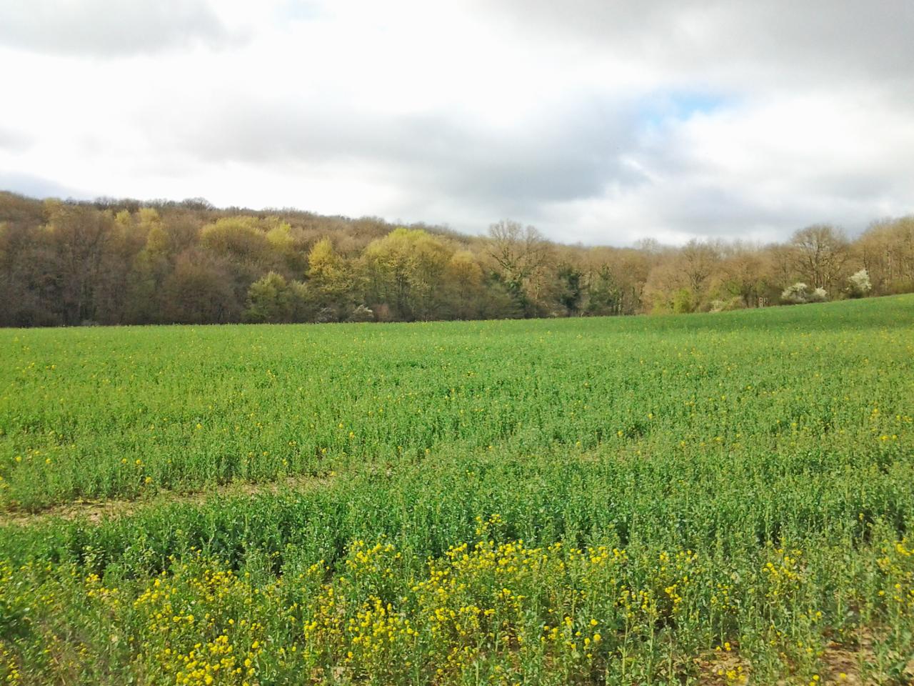 Le territoire de chasse