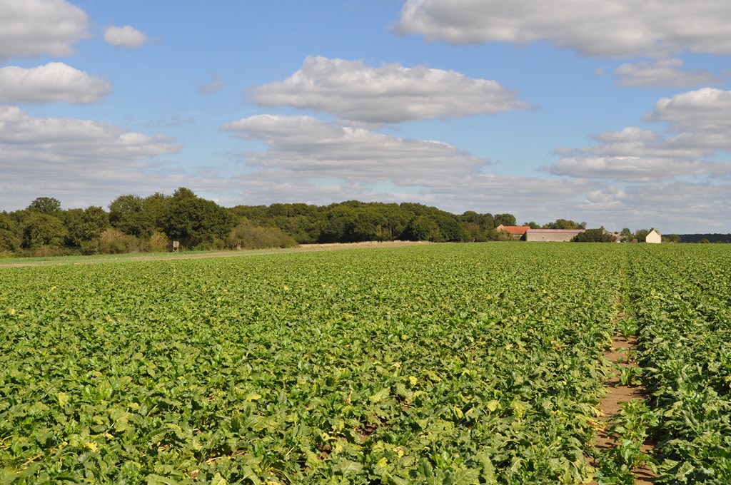 Le territoire