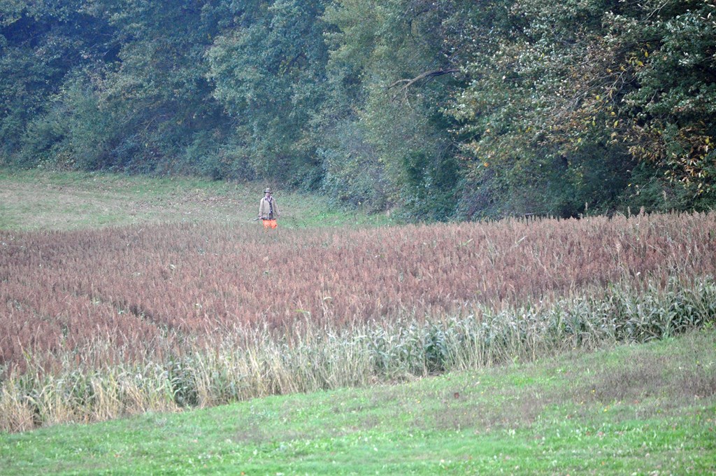 Le territoire