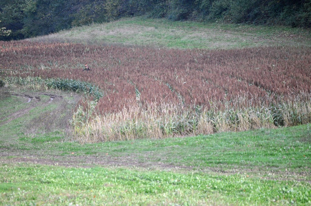 Le territoire