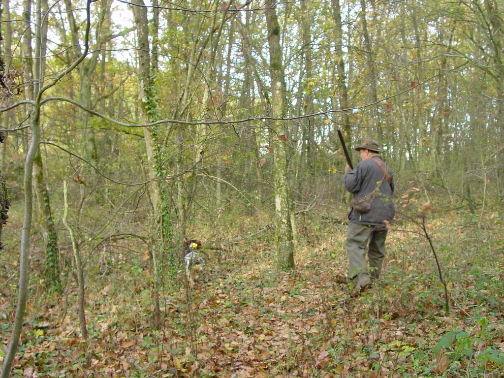 La chasse devant soi