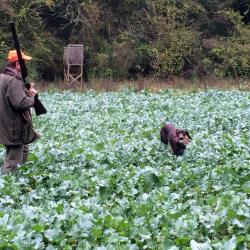 La chasse devant soi